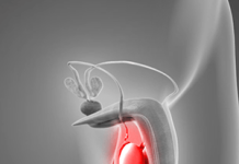 ĐAU BÌU Ở NAM GIỚI: CÁC NGUYÊN NHÂN BỆNH LÝ, QUY TRÌNH CHẨN ĐOÁN VÀ HƯỚNG ĐIỀU TRỊ CẬP NHẬT